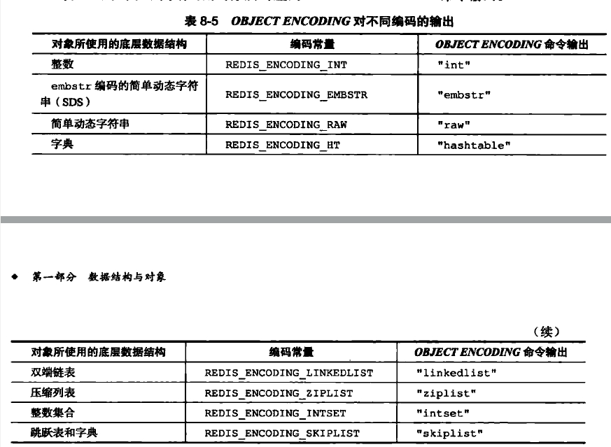 object encoding 对不同编码的输出